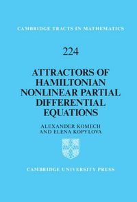 Produktbild: Attractors of Hamiltonian Nonlinear Partial Differential Equations