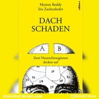 Produktbild: Dachschaden