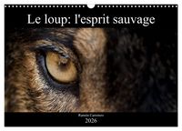 Produktbild: Le loup: l'esprit sauvage (Calendrier mural 2026 DIN A3 vertical), CALVENDO calendrier mensuel