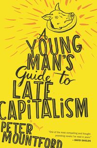 Produktbild: Young Man's Guide to Late Capitalism