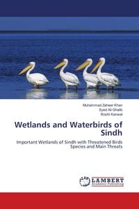 Produktbild: Wetlands and Waterbirds of Sindh