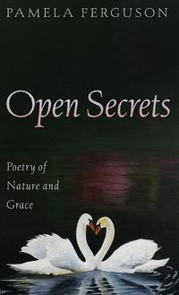 Produktbild: Open Secrets