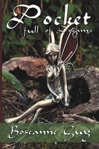 Produktbild: Pocket Full of Dreams