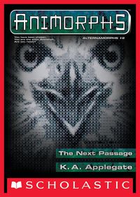 Produktbild: The Next Passage
