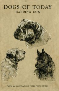 Produktbild: Dogs of Today