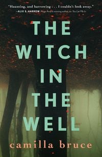 Bild vom Artikel The Witch in the Well vom Autor Camilla Bruce