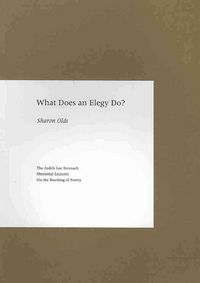 Produktbild: What Does An Elegy Do