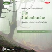 Die Judenbuche Annette von Droste-Hülshoff