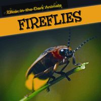 Produktbild: Fireflies