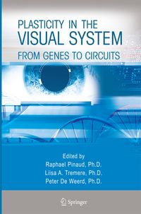 Produktbild: Plasticity in the Visual System