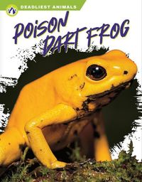Produktbild: Poison Dart Frog