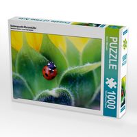 Produktbild: CALVENDO Puzzle Siebenpunkt-Marienk&auml;fer | 1000 Teile Lege-Gr&ouml;&szlig;e 64x48cm Foto-Puzzle f&uuml;r gl&uuml;ckliche Stunden