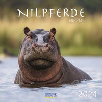 Bild vom Artikel Nilpferde 2024 vom Autor 