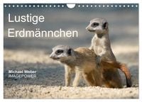Produktbild: Lustige Erdm&auml;nnchen (Wandkalender 2026 DIN A4 quer), CALVENDO Monatskalender