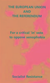 Produktbild: The European Union and the Referendum