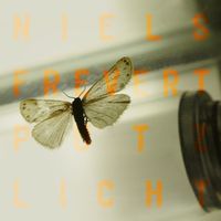 Produktbild: Putzlicht (Schwarzes 180g Vinyl)