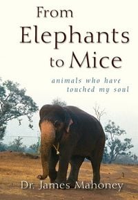 Produktbild: From Elephants to Mice