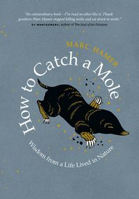 Produktbild: How to Catch a Mole