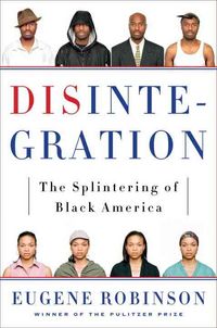 Produktbild: Disintegration