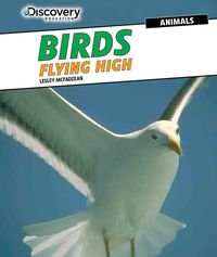 Produktbild: BIRDS