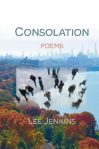 Produktbild: Consolation; Poems