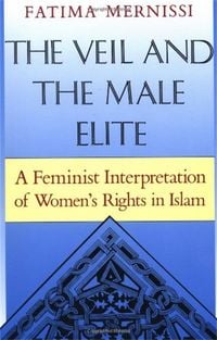 Produktbild: The Veil and the Male Elite