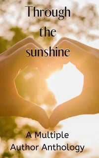 Produktbild: Through the Sunshine