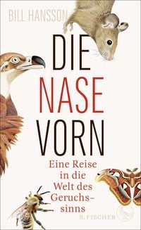 Produktbild: Die Nase vorn