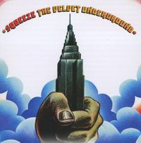 Produktbild: Velvet Underground (Doug Yule): Squeeze
