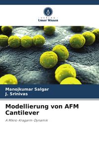 Produktbild: Modellierung von AFM Cantilever