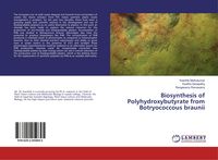 Produktbild: Biosynthesis of Polyhydroxybutyrate from Botryococcous braunii
