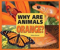 Produktbild: Why Are Animals Orange?