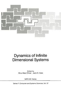 Produktbild: Dynamics of Infinite Dimensional Systems