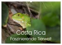 Produktbild: Costa Rica. Faszinierende Tierwelt (Wandkalender 2026 DIN A2 quer), CALVENDO Monatskalender