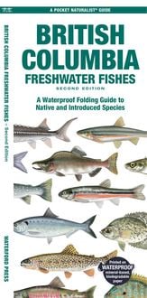 Produktbild: British Columbia Freshwater Fishes