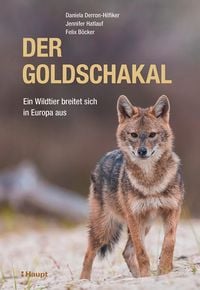 Produktbild: Der Goldschakal