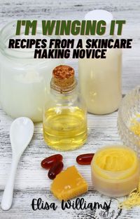 Produktbild: Recipes from a Skincare Making Novice (I'm Winging It, #1)