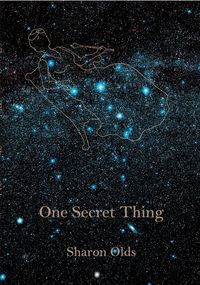 Produktbild: One Secret Thing