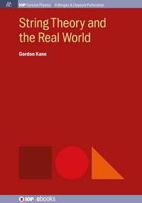 Produktbild: String Theory and the Real World