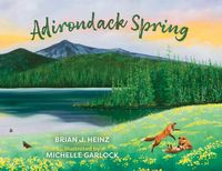 Produktbild: Adirondack Spring