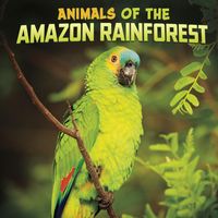 Produktbild: Animals of the Amazon Rainforest