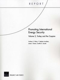 Produktbild: Promoting International Energy Security