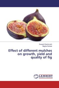 Produktbild: Effect of different mulches on growth, yield and quality of fig