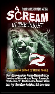 Produktbild: A Scream in the Night 2