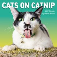 Produktbild: Cats on Catnip Wall Calendar 2027