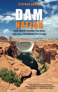 Produktbild: Dam Nation
