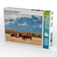 Produktbild: CALVENDO Puzzle Pferde im Grand Teton National Park | 1000 Teile Lege-Gr&ouml;&szlig;e 64x48cm Foto-Puzzle f&uuml;r gl&uuml;ckliche Stunden