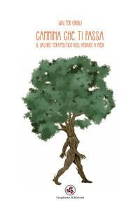 Produktbild: Cammina che ti passa. Il valore terapeutico dell'andare a piedi