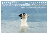 Produktbild: Der Bordercollie-Kalender (Tischkalender 2027 DIN A5 quer), CALVENDO Monatskalender