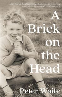 Produktbild: Brick on the Head